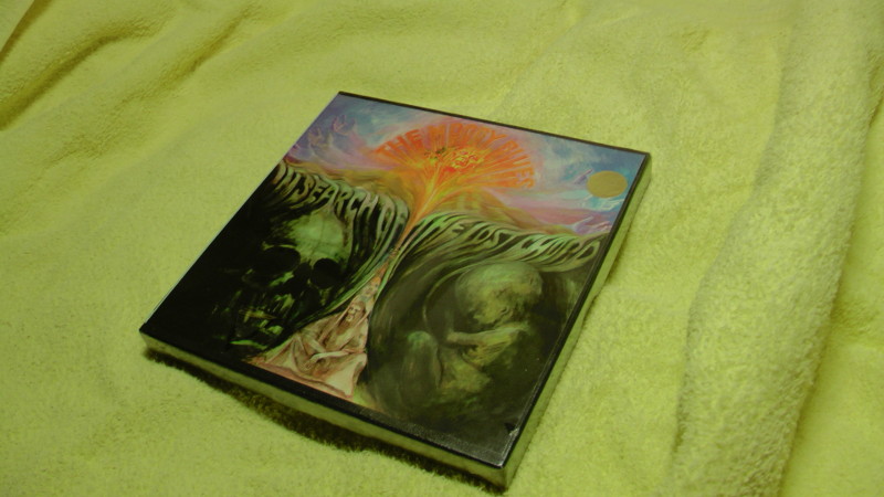 in search of the lost chord unopened