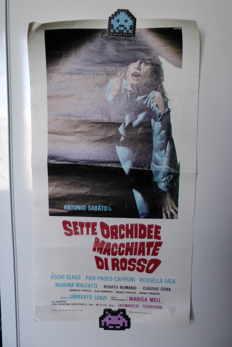 sette orchidee macchiate di rosso locandina poster